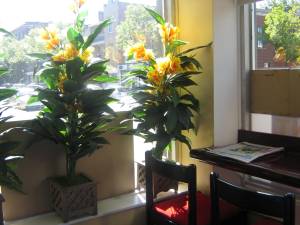 Geisha Sushi Restaurant